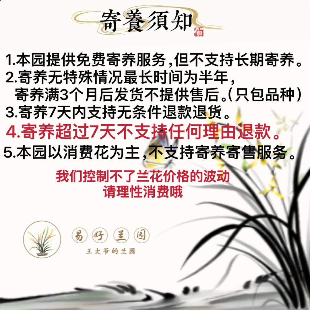 易好兰园兰花一物一拍3号链接商品图