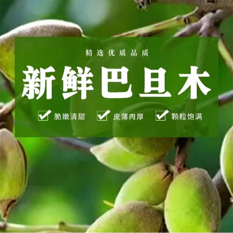 现摘绿皮巴旦木当季原味带青壳即食扁桃仁巴达木商品图