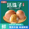 幸福鸡农活珠子香辣味五香味十三天钢化蛋新鲜鸡胚蛋正宗喜蛋新鲜商品图