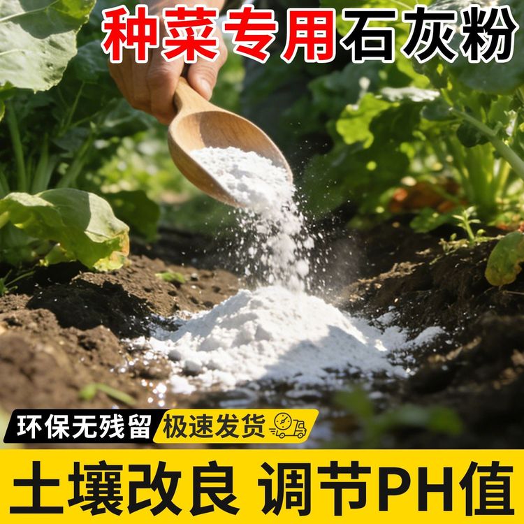 农用熟石灰改善土壤环境消毒杀菌蔬菜园土壤驱虫调节土壤酸碱度商品图