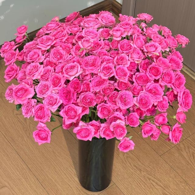 【云舍花卉专属】【苏菲宝贝】多头玫瑰 云南直发全场鲜花满两单包邮商品图