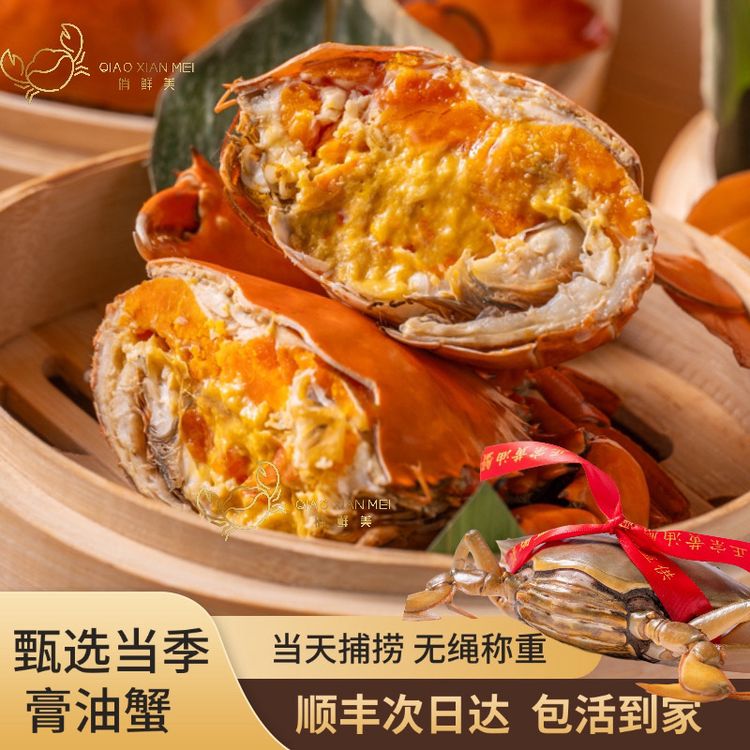 活蟹正宗青蟹膏蟹黄油蟹螃蟹肉蟹净重饱满红膏蟹海鲜鲜活水产礼盒商品图
