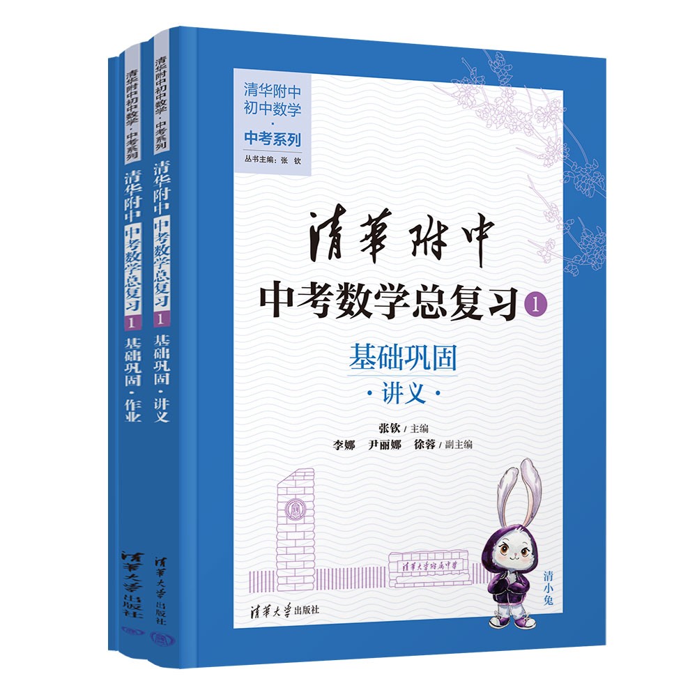 清华附中中考数学总复习1-3（基础巩固、专题突破、智慧锦囊）-多sku商品图