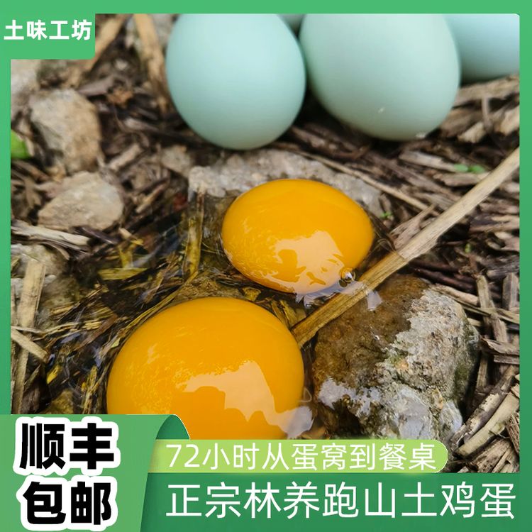 正宗山林散养跑山鸡 新鲜绿壳土鸡蛋 到手30枚试吃5枚 营养美味商品图
