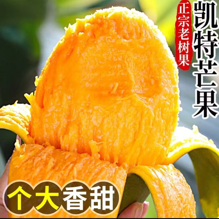 正宗凯特芒软糯香甜水果皮薄核小青皮芒果YN-5商品图