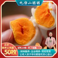 〖50枚土鸡蛋专属〗皖南九华山高山树林农家散养柴鸡蛋新鲜营养生态商品图