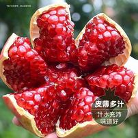 【精美彩箱】四川会理突尼斯软籽石榴多汁爆甜当季新鲜水果应季水果商品图