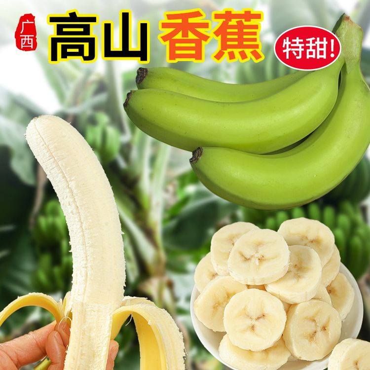 【现砍现发】广西高山甜香蕉青蕉新鲜水果5斤产地粉芭蕉软糯香甜商品图