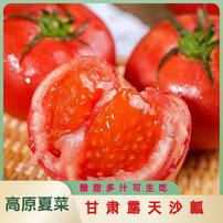 甘肃露天沙瓤西红柿现摘现发番茄自然熟酸甜多汁新鲜采摘可生吃商品图