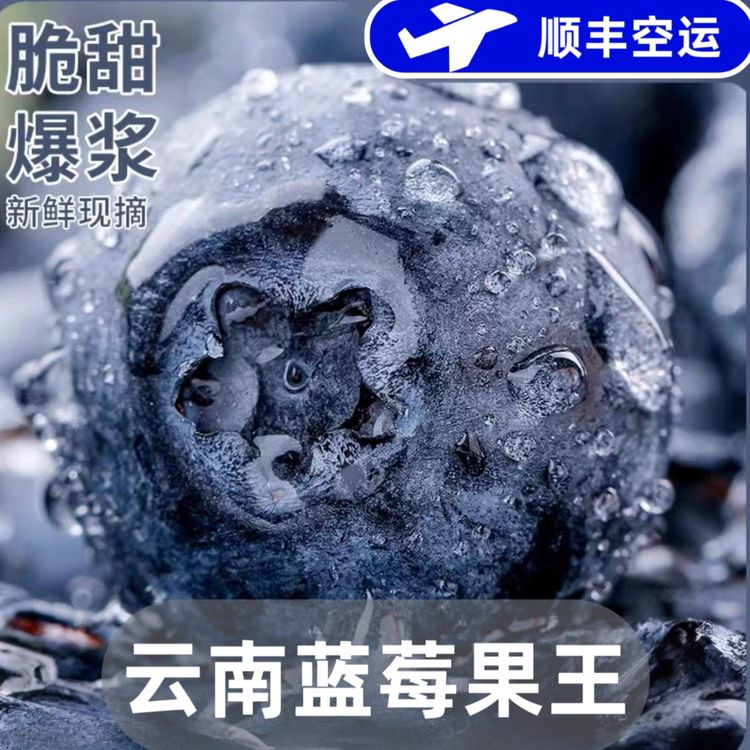 【24mm+蓝莓】云南蓝莓 脆甜酸甜大果 花果香 净重600g 顺丰空运商品图