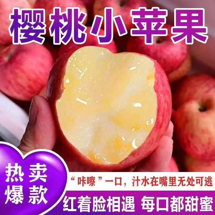 26年（樱桃小苹果）云南高原樱桃小苹果冰糖心甜脆爽口新鲜应季水果商品图