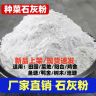 农用熟石灰改善土壤园种菜有机土壤肥驱虫调节土壤酸碱度土壤疏松商品图