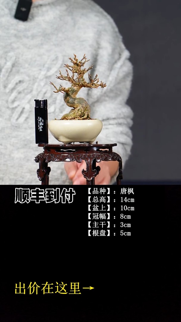 无花朵唐枫  不包邮商品图
