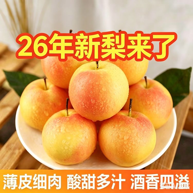 正宗当季南果梨薄皮5斤东北特产香水梨醉梨软梨新鲜批发水果商品图