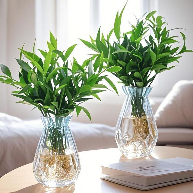 【水培新宠】竹柏水培植物室内客厅水养绿植花卉盆栽水培竹四季商品图