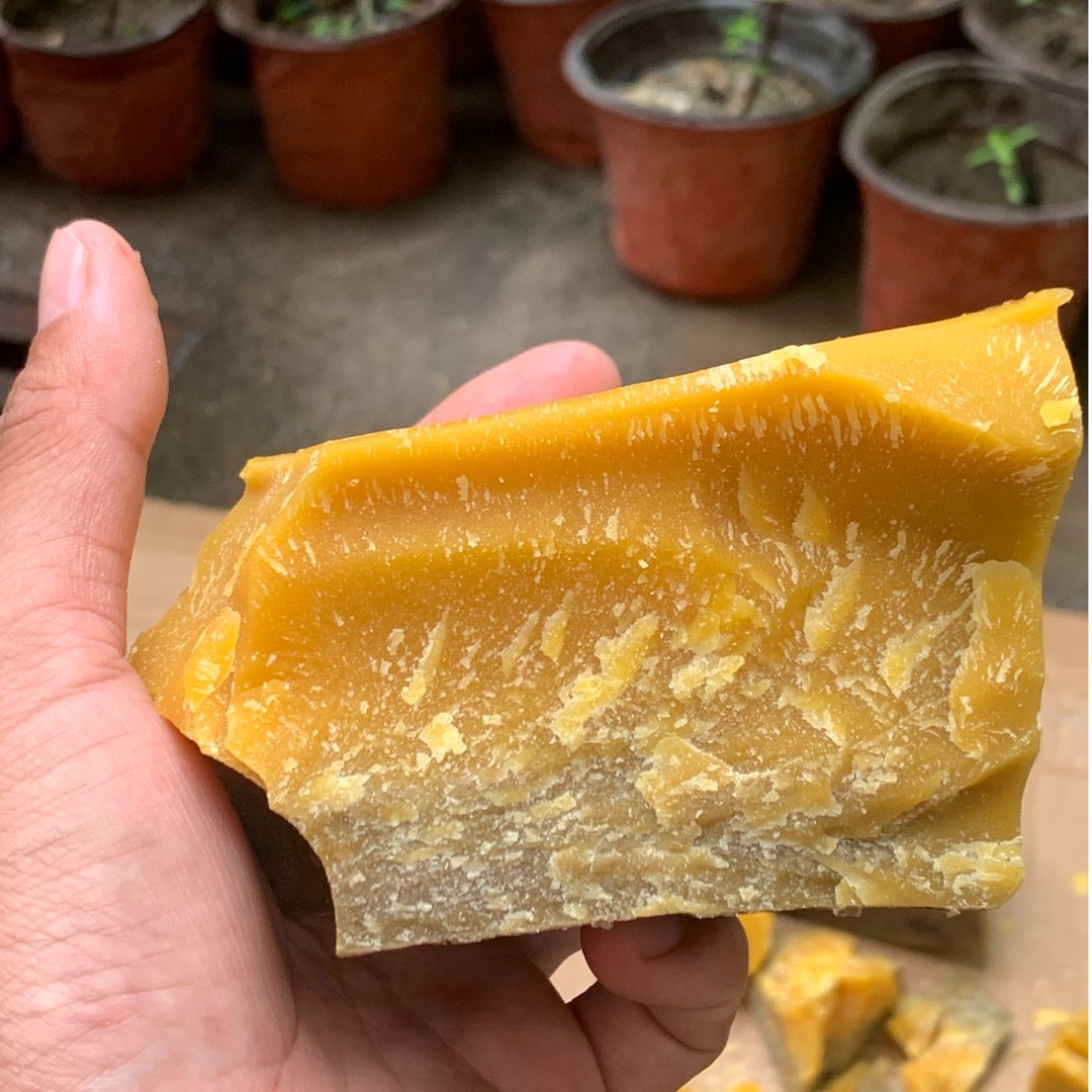 中蜂纯蜂蜡DIY唇膏野外诱蜂蜜腊渣老蜂蜂巢户外诱蜂蜡老脾蜡蜂渣商品图
