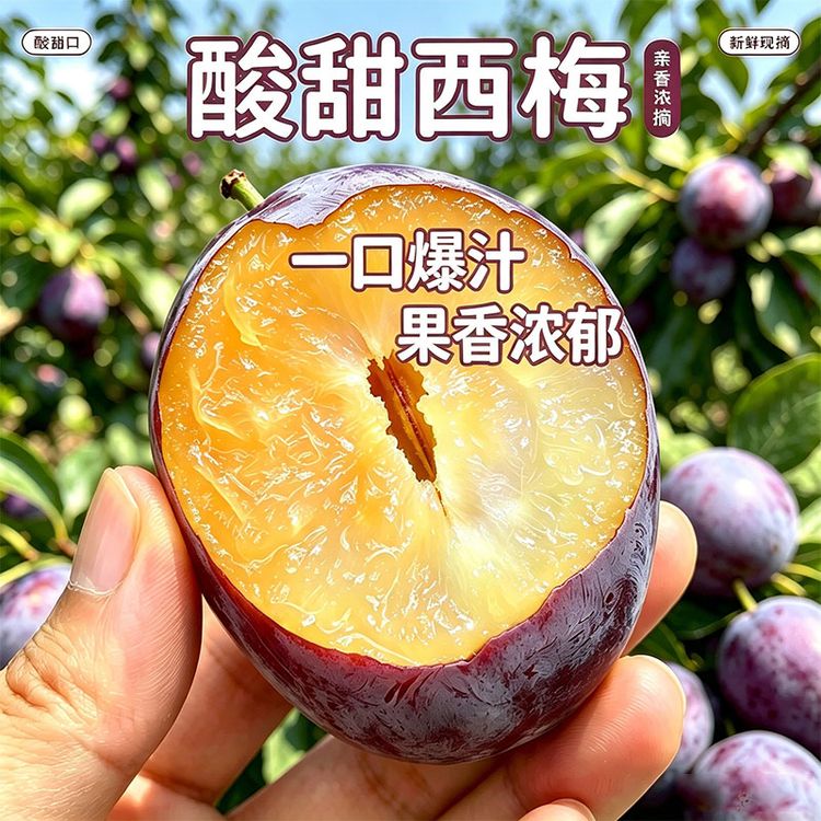 【稀有品种】现摘新鲜大西梅新鲜西梅鲜果应季水果甜西梅女神脆甜商品图