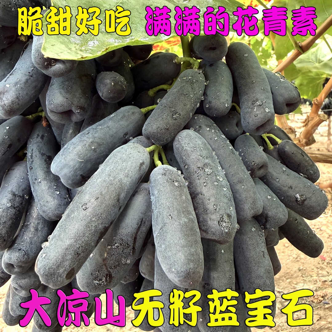 【发顺丰】大凉山蓝宝石葡萄新鲜水果无籽提子金手指黑美人葡萄商品图
