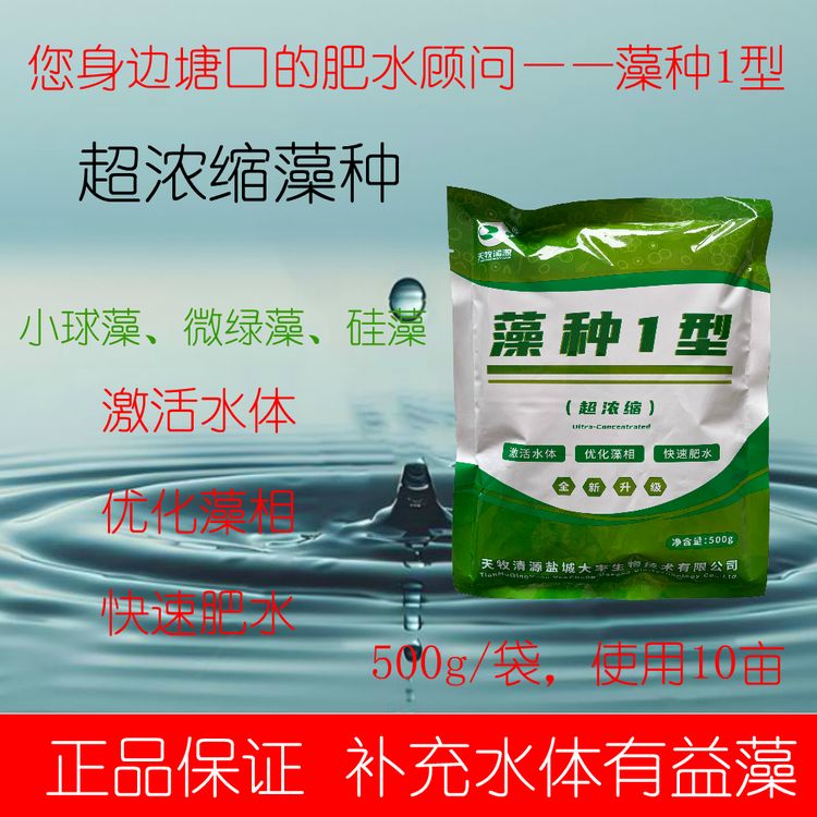藻种1型浓缩藻种快速肥水小球藻硅藻小型藻类藻种商品图