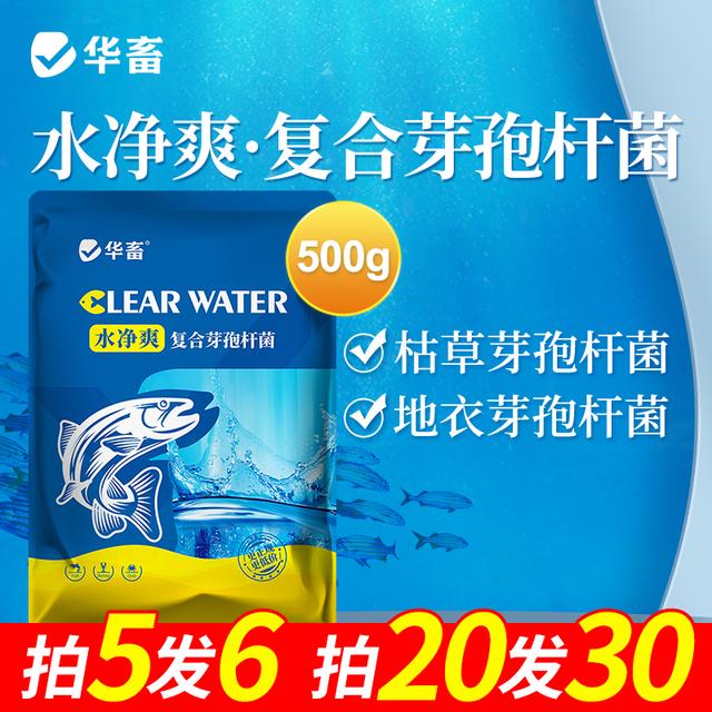 【抢】免红糖芽孢复合芽孢杆菌水净爽鱼虾蟹水产养殖调水净水 S商品图