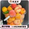 山东蒙阴应季桃子黄桃新鲜正宗水蜜桃盲盒·现摘现发·顺丰商品图