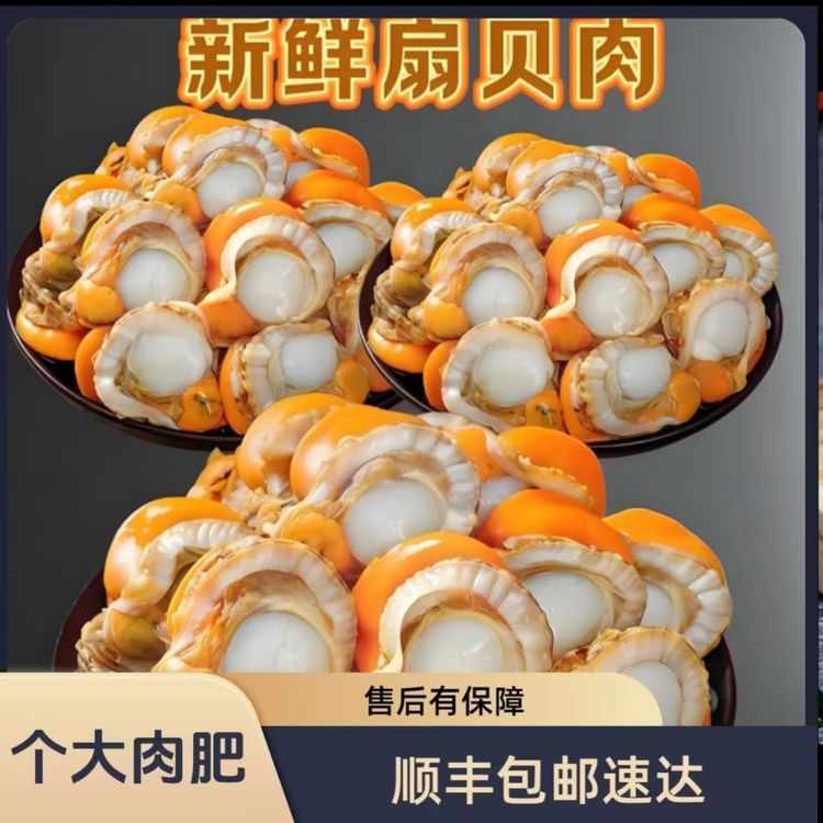 【超大号扇贝肉】当季新货大号20/40扇贝肉 无壳扇贝肉到手5包超大商品图
