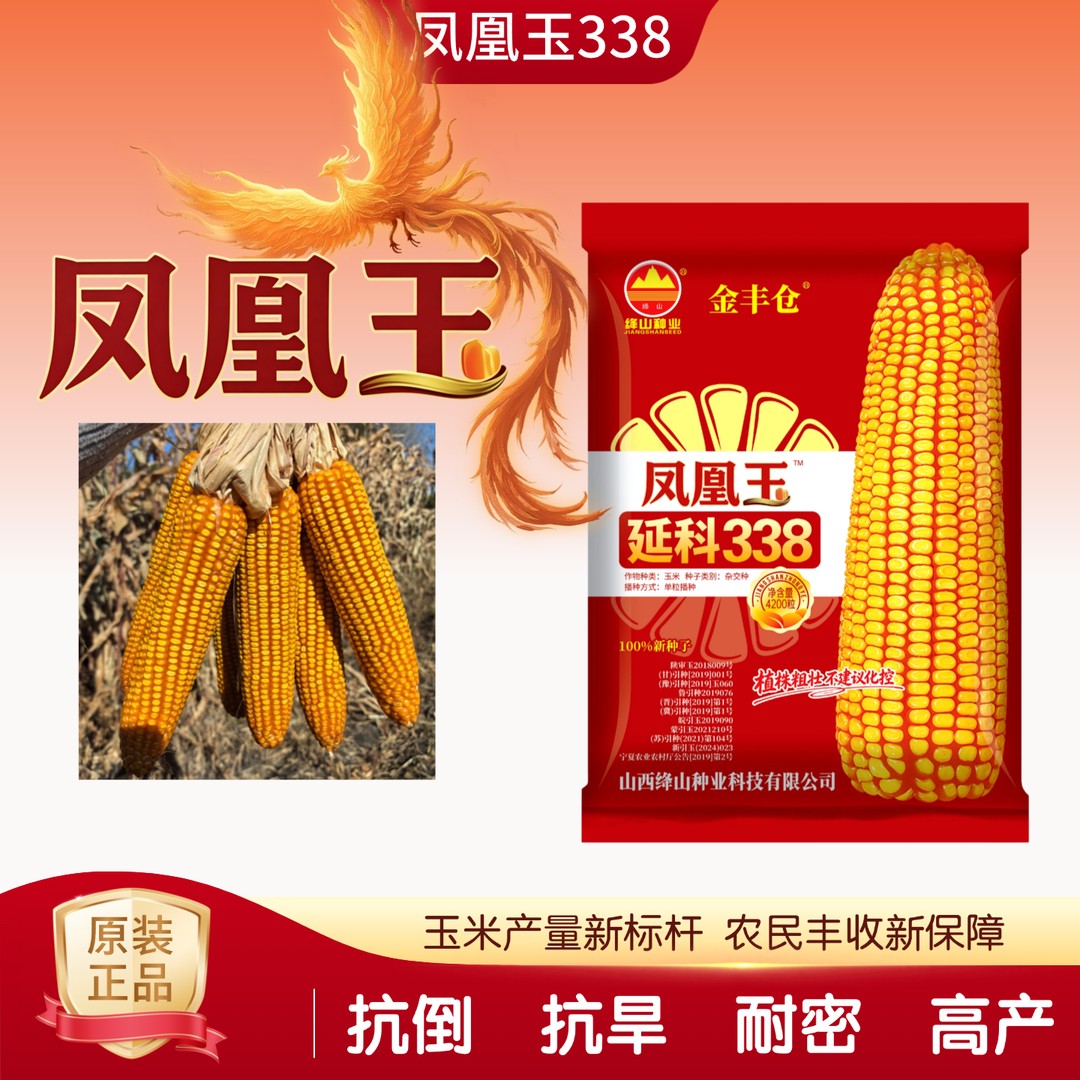 凤凰玉338矮杆大棒抗倒伏杂交玉米种国审抗旱耐高温商品图