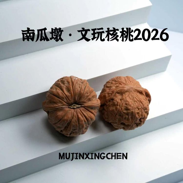 【南瓜墩】2026全品文玩核桃手把件商品图