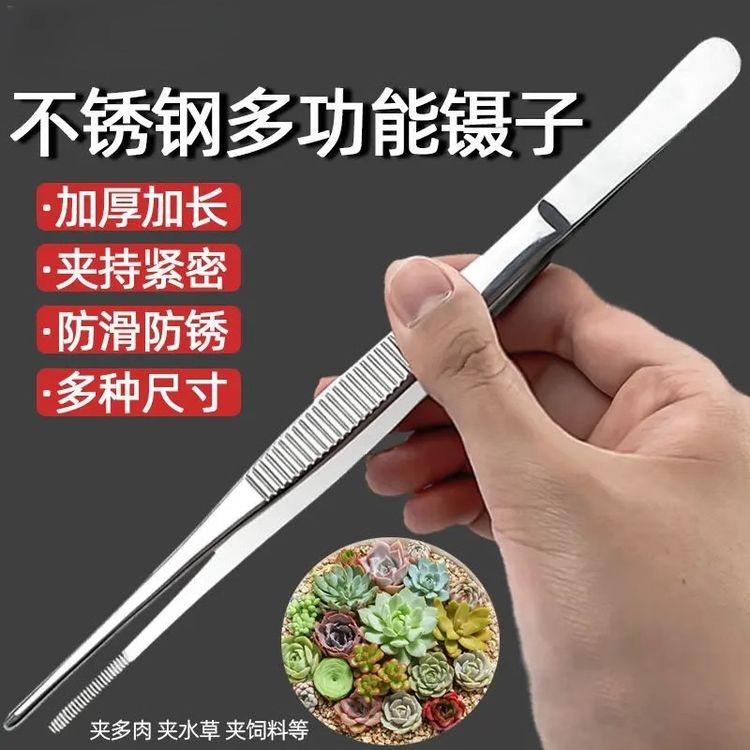 多肉镊子不锈钢夹子加长加厚直头弯头鱼缸水草昆虫敷料工具维修夹商品图
