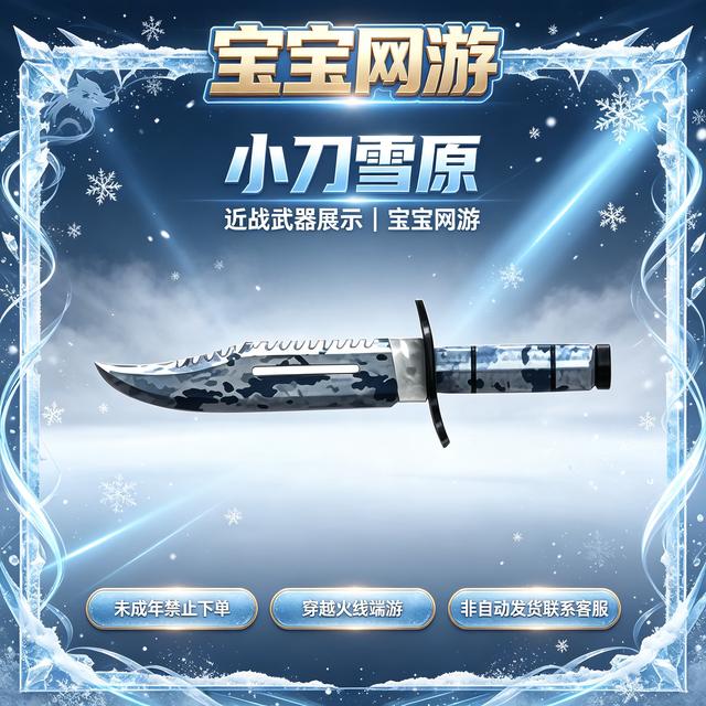 CF穿越火线端游商品【小刀-雪原】商品图