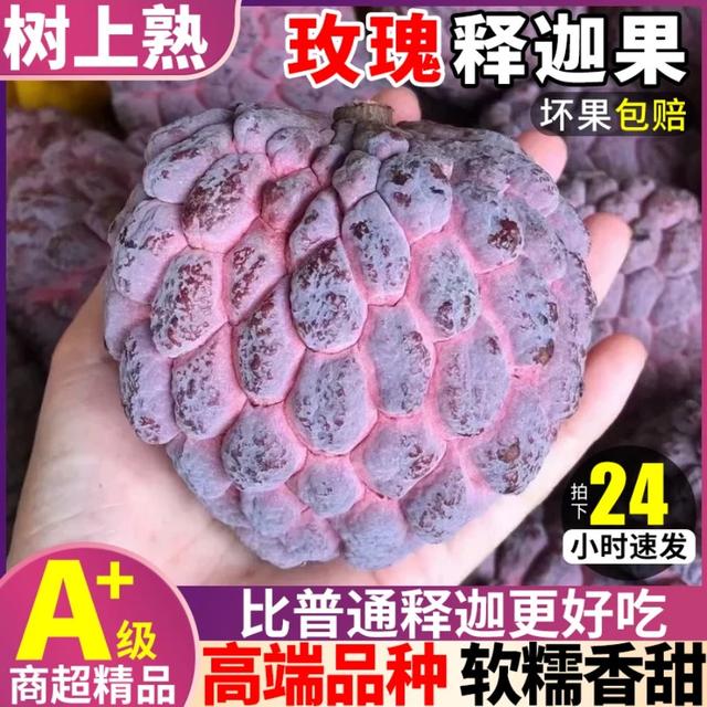 【现摘现发】玫瑰释迦果大果荔枝王新鲜番荔枝当季佛头果热带水果商品图