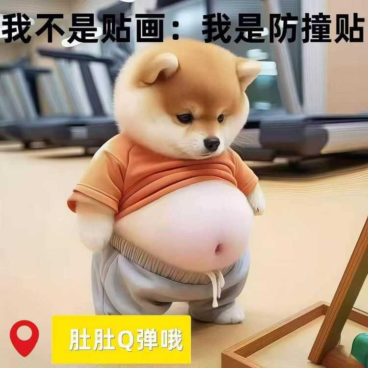 推荐4个装/【肚子软软的】柴犬立体开门防撞贴大肚子捏捏乐创意婴儿商品图