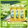 【大容量3瓶】100%冷泡茉莉花茶原茶萃取无糖茶饮料草本植物大瓶装商品图