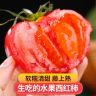 【京东顺丰】陕西泾阳普罗旺斯水果西红柿自然成熟当季新鲜生吃番茄商品图