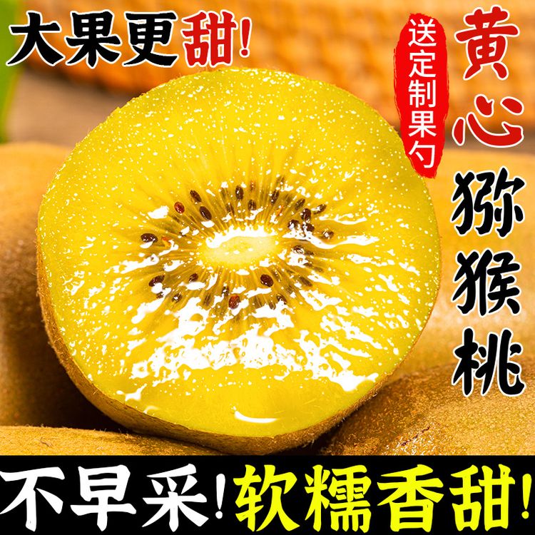 正宗四川蒲江黄心猕猴桃水果香甜多汁新鲜水果奇异果放软吃孕妇商品图