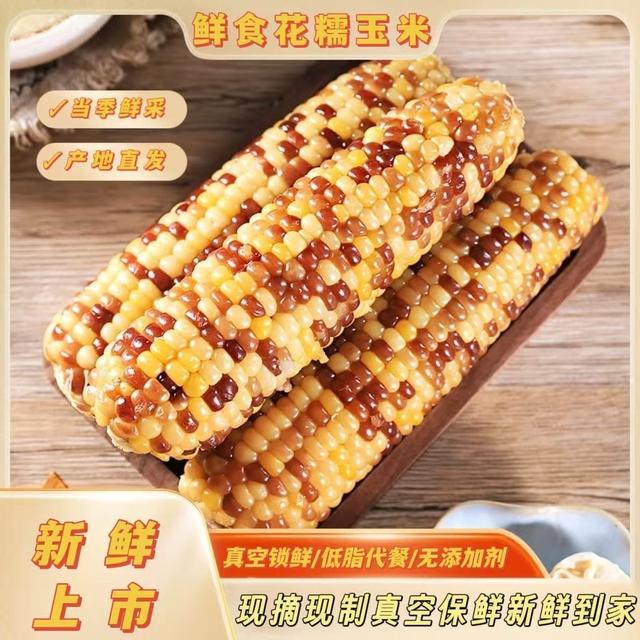 【试吃4根】26年头茬花糯玉米软糯香甜营养代餐早餐粗粮12支商品图
