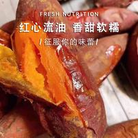 正宗新疆天山小蜜薯 新鲜现挖软糯香甜的地瓜番薯商品图