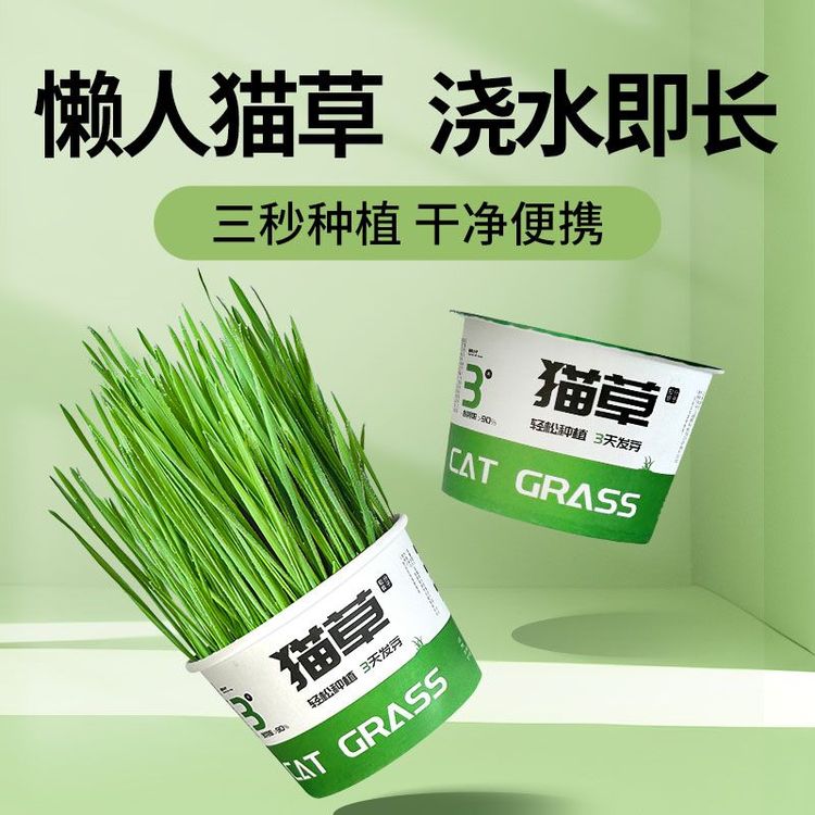 猫草盆栽小麦水培猫草种植懒人猫草罐头毛球片化毛草零食猫草种子商品图