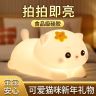 拍拍硅胶小夜灯猫咪款儿童生日节日礼物卧室床头护眼伴睡灯商品图