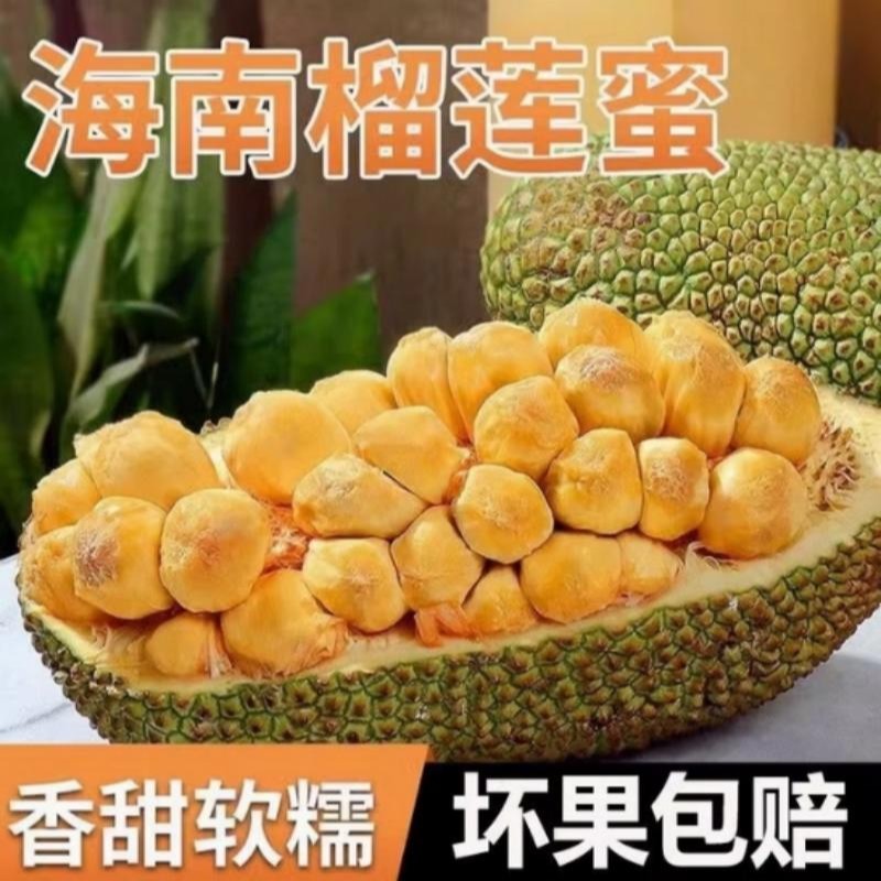 海南岛正宗 榴莲蜜 热带新鲜水果软糯香甜湿苞2-12斤商品图