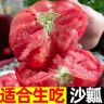 正宗粉果西红柿新鲜现摘蔬菜水果沙瓤番茄粉精品5商品图