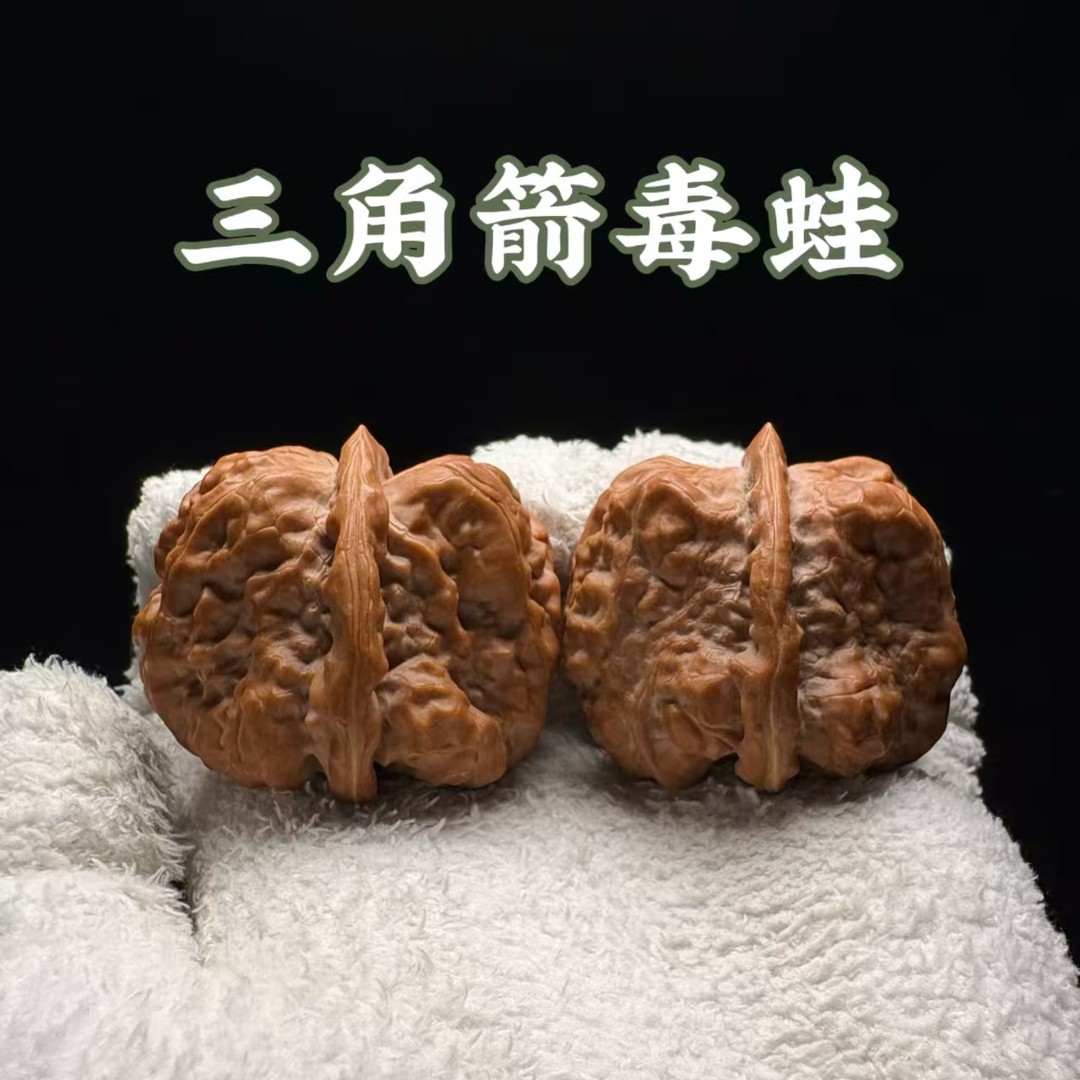 (闪购专拍）精修打底三角箭毒蛙34-35文玩核桃手把件（多样性发货）商品图