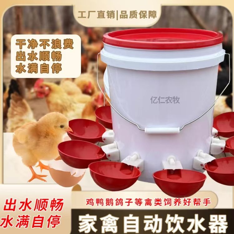 成年鸡鸭自动饮水器鸡饮水碗鸭鹅鸡自动饮水桶养鸡专用饮水器商品图