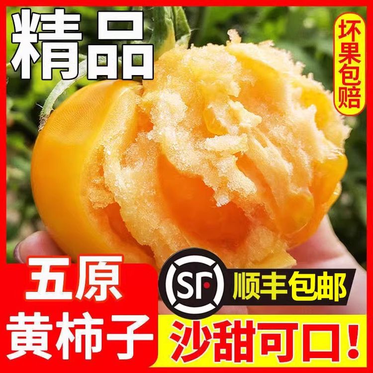 【精品顺丰】内蒙古五原黄柿子新鲜水果自然熟沙瓤黄西红柿生吃番茄商品图