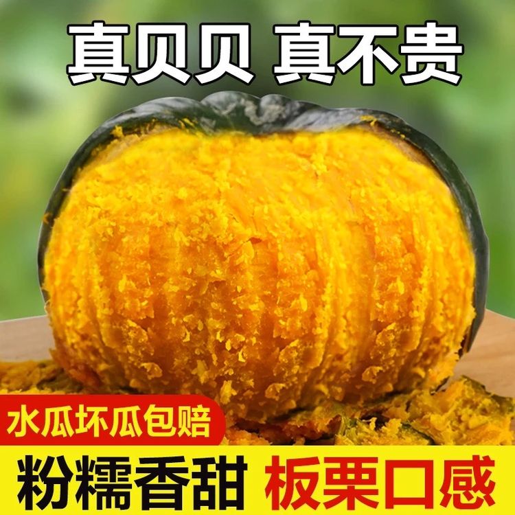 正宗贝贝南瓜板栗味粉糯香甜宝宝孕妇辅食代餐新鲜蔬菜原产地直发商品图