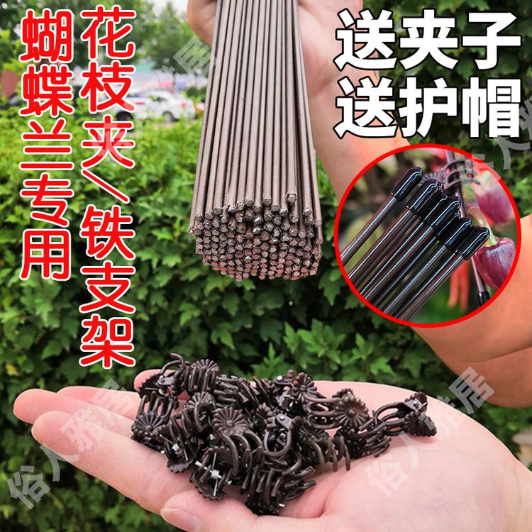 蝴蝶兰支架支撑杆造型架子园艺花卉花枝夹子蔓藤爬藤植物固定夹子