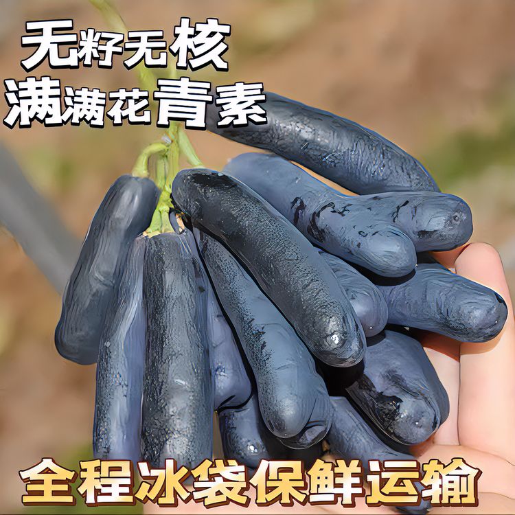 【凉小萄】四川大凉山西昌手指葡萄蓝宝石葡萄新鲜水果满满花青素商品图