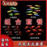 【送水草】孔雀斑马米奇蝶翼组合观赏鱼混养热带淡水小型鱼好养耐活商品图