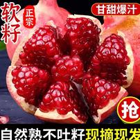 【新华网溯源专属】会理软籽石榴新鲜现摘爆甜多汁应季水果商品图