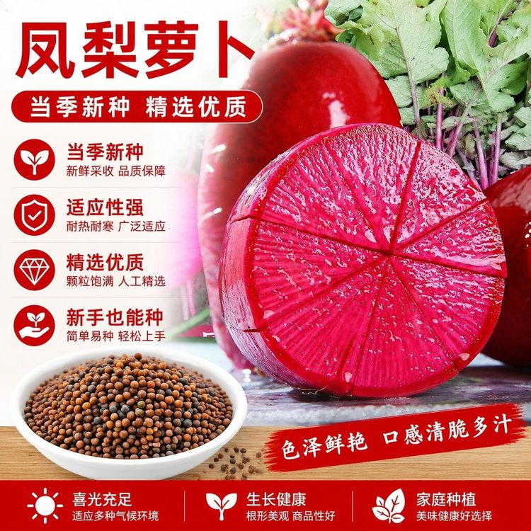 【s】凤梨水果萝卜凤梨萝卜阳台菜园庭院可萝卜种子商品图